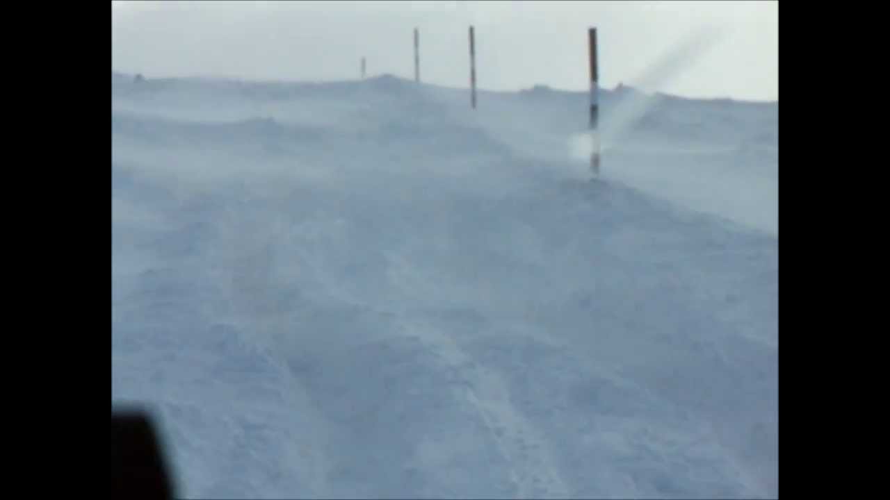 B6277 Yad Moss - Closed Snow