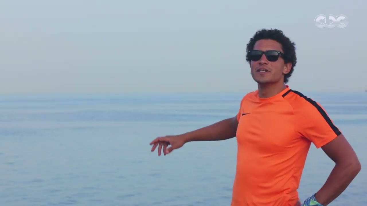 بين شطين| هدوء أعصاب في رأس غارب.. شوف الدلافين عملت إيه