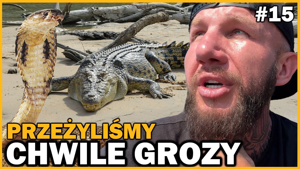 Było NIEBEZPIECZNIE! Mieliśmy KOBRĘ w hotelu I ALIGATORA przy campingu (Botswana Afryka)