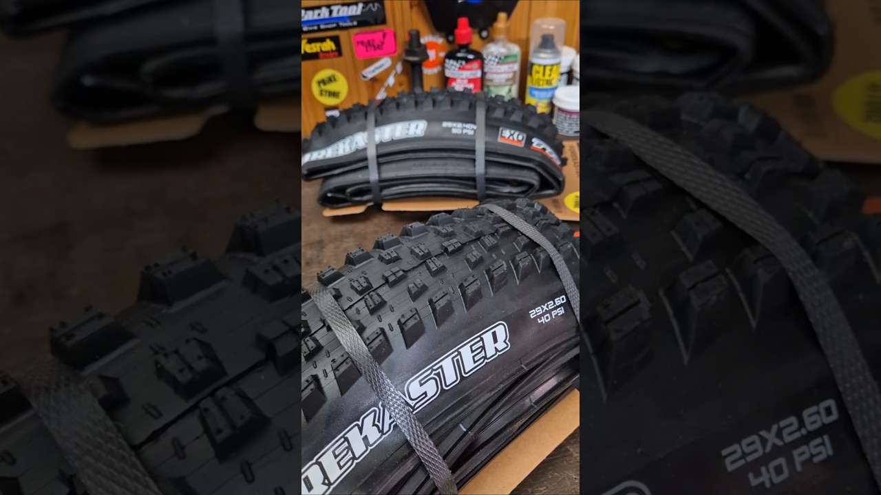 Maxxis Forekaster + Rekon: copertoni MTB per uso reale tutto l’anno 