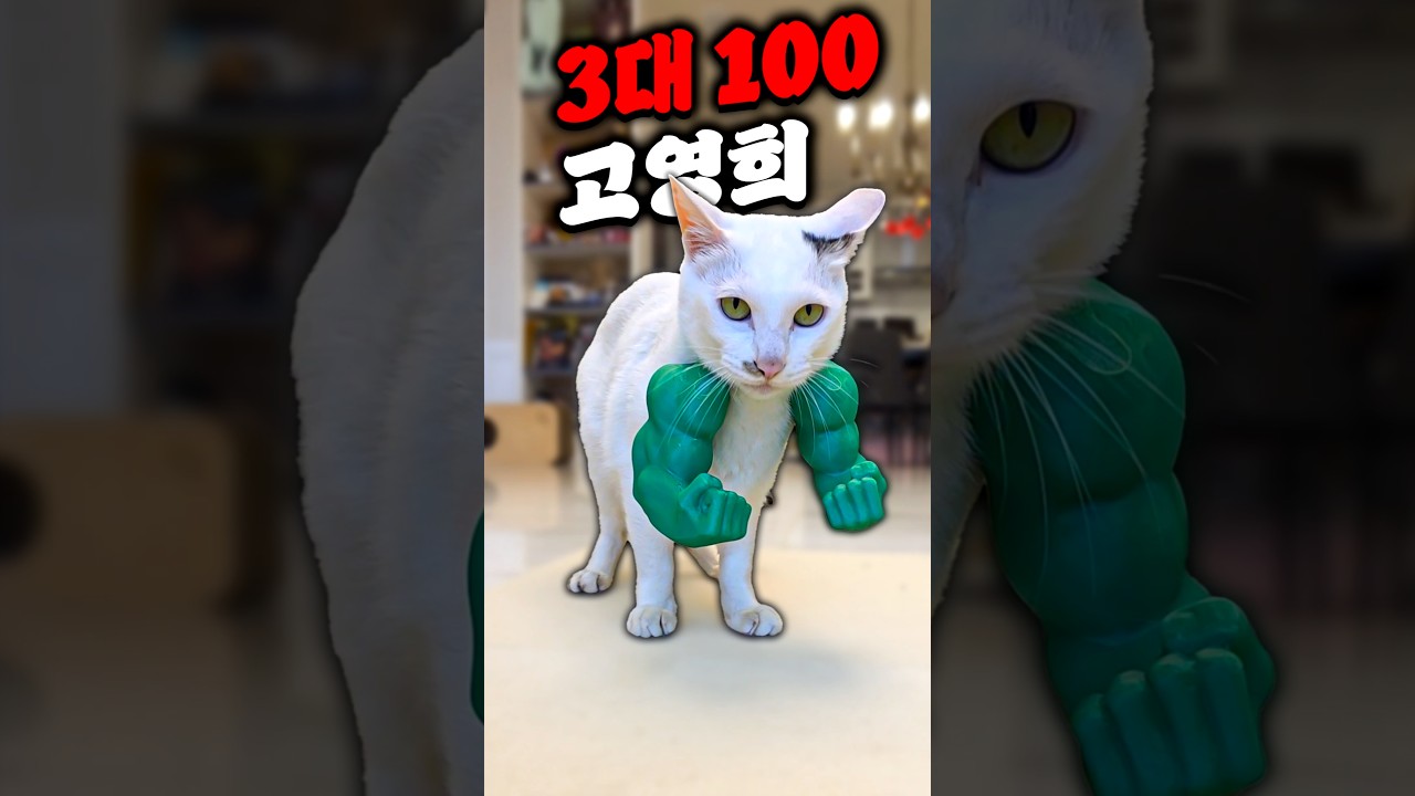고영희 집사 필수템