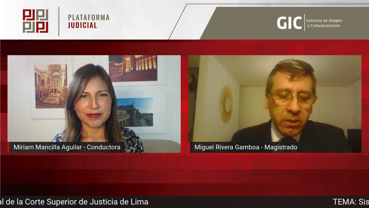 Plataforma Judicial: Sistemas de Remates Virtuales
