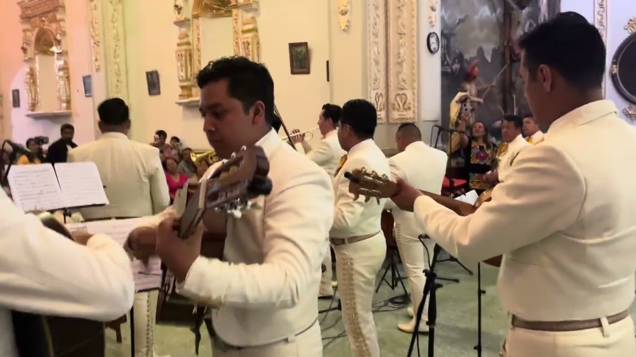 Mariachi en Cuautzingo 2025 - Violín Huapango (En Vivo)