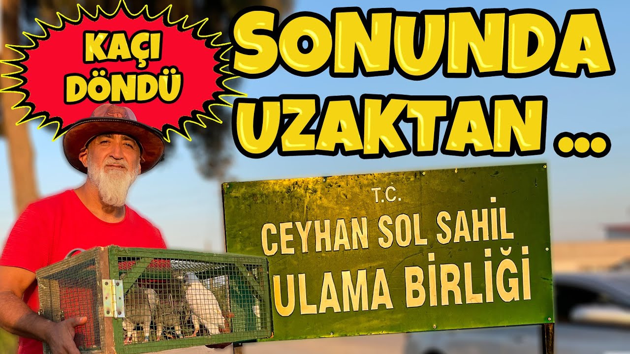 AYLARDAN SONRA İLK DEFA UZAKTAN SALDIM, KAÇI DÖNDÜ !