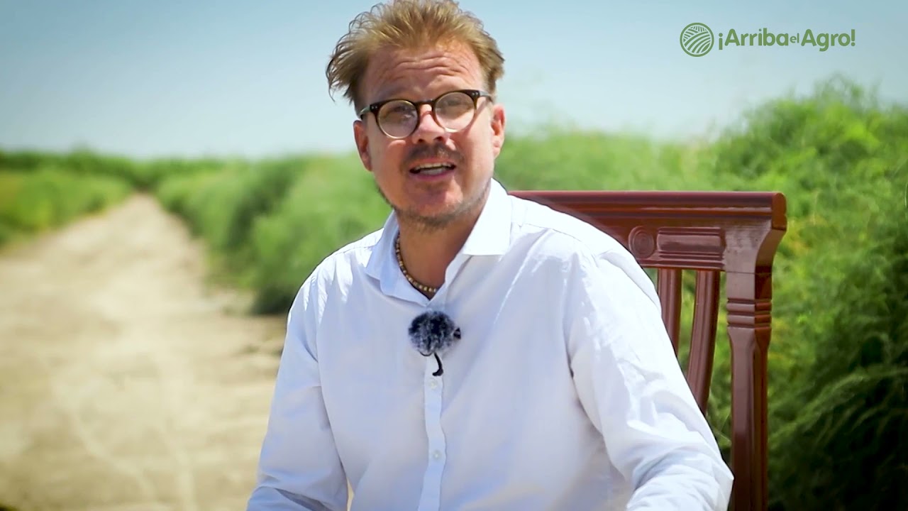 Arriba el Agro - Capítulo 1: Espárragos en Chocope - La Libertad