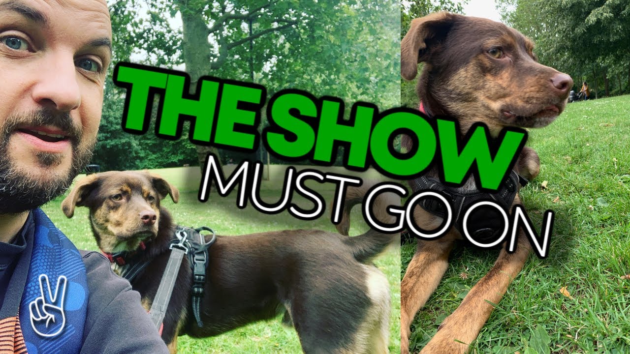Flood Aftermath, Plant Based News work and DJ Streaming | LDN Vegans Catch Up