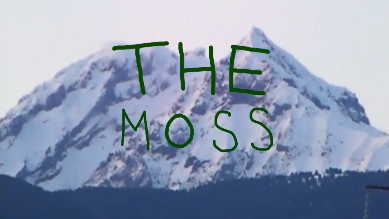 THE MOSS - A RETRO STYLES SQUAMISH ROCK FILM