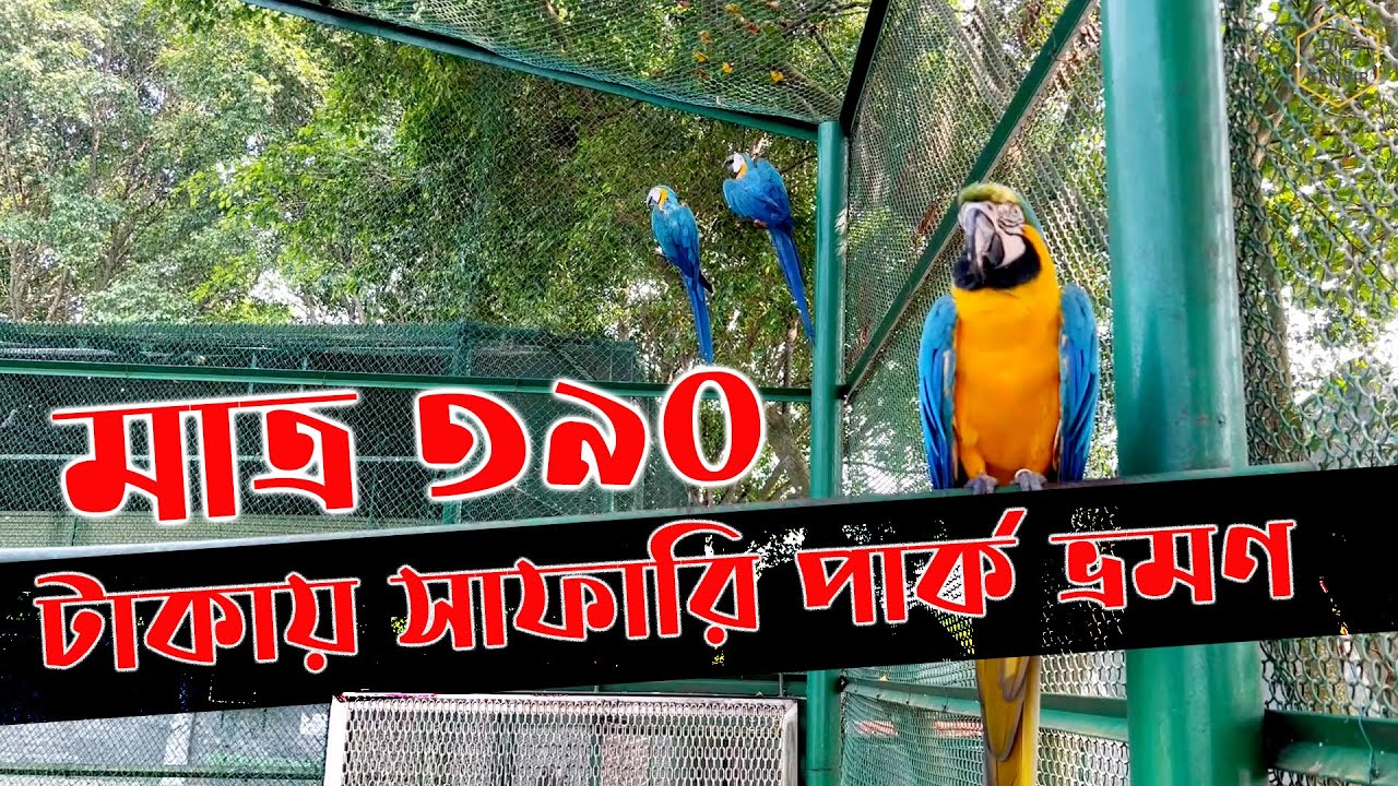 এশিয়ার সর্ববৃহৎ সাফারি পার্কে একদিন। Asia's Largest Safari Park