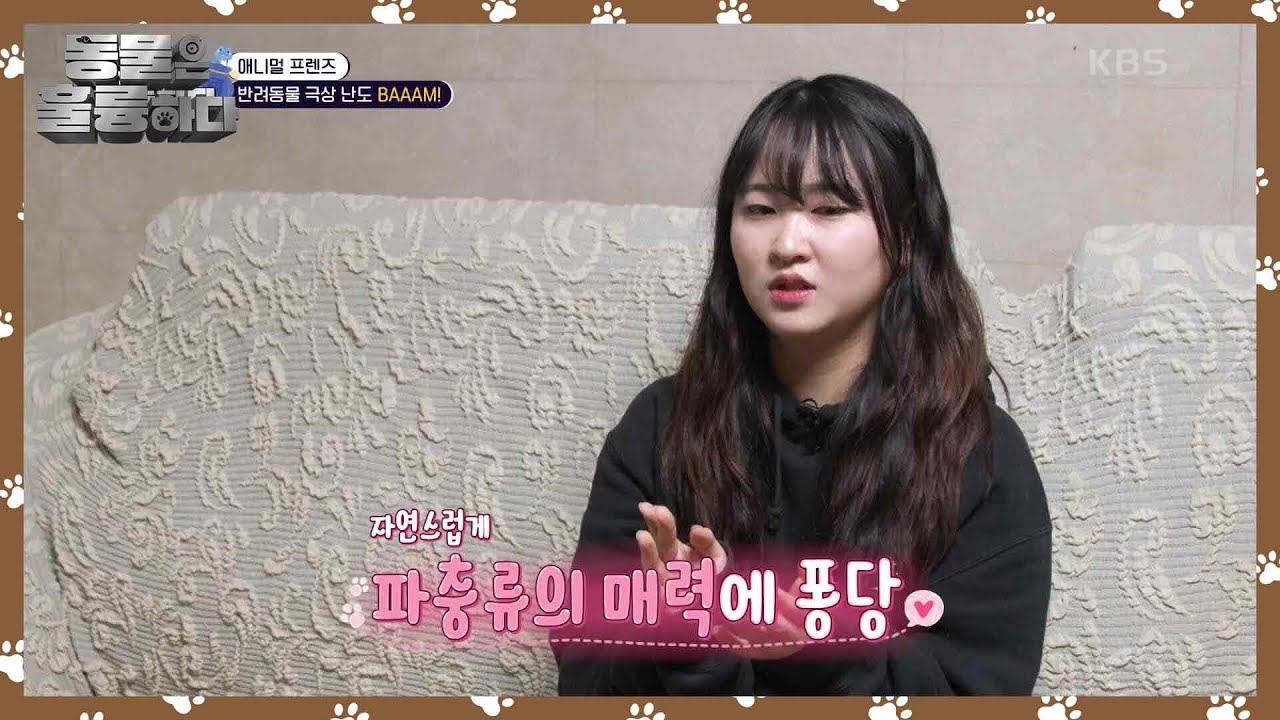 파충류에 매력에 빠지게 된 계기? 탈피를 위해 온욕하는 반려뱀 [동물은 훌륭하다] | KBS 250127 방송