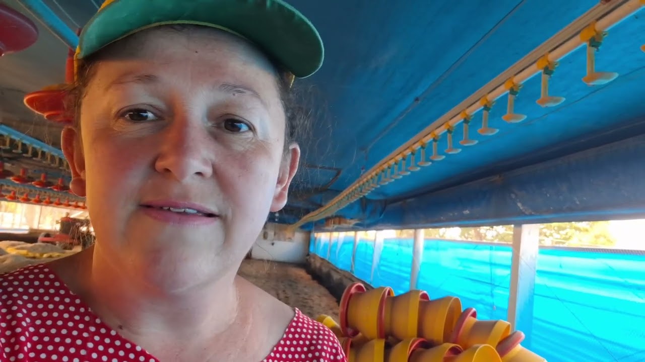 Os trabalhos continuam na desinfecção do aviário 