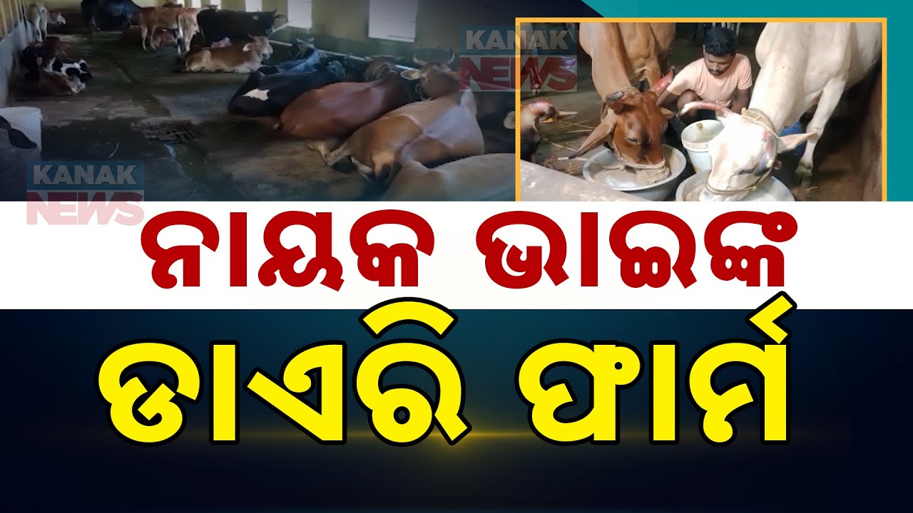 Bazaar Halchaal: Sustainable Success: The Inspiring Journey Of Young Cattle Farmers In Jagatsinghpur
