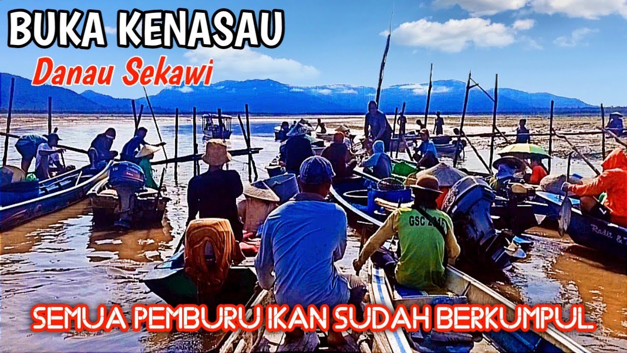 Panen ikan saat air danau menyusut berubah menjadi daratan,petualangan berburu ikan ke Danau Sekawi