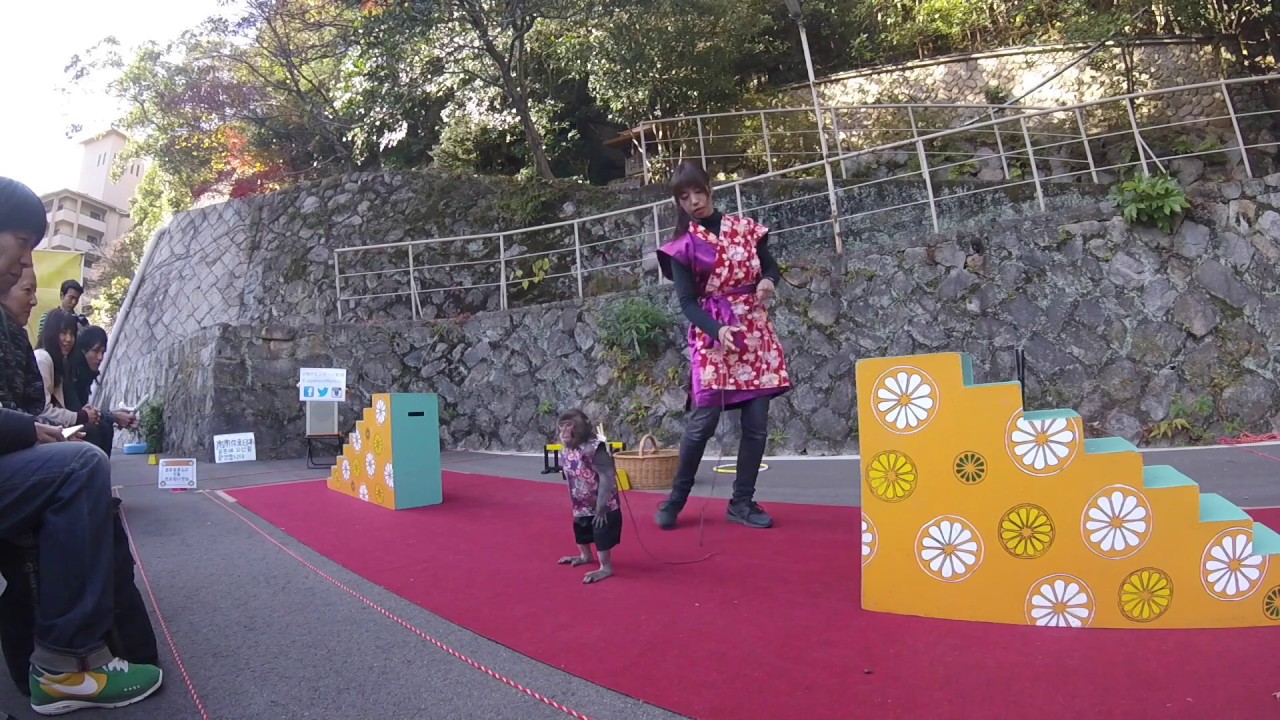 神戸モンキーズ劇場　あおい・ぽんず