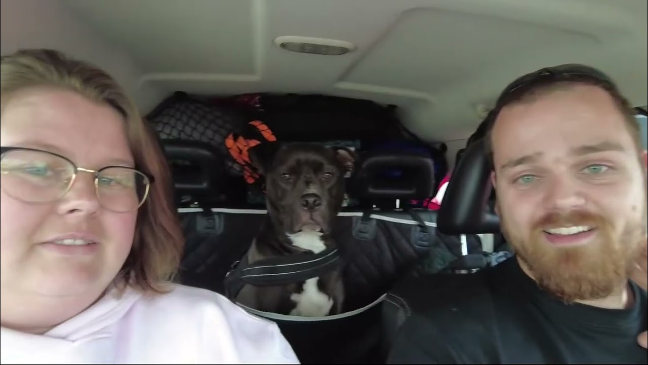 Vlog #2 - De laatste dagen in NL & Het grote avontuur begint.