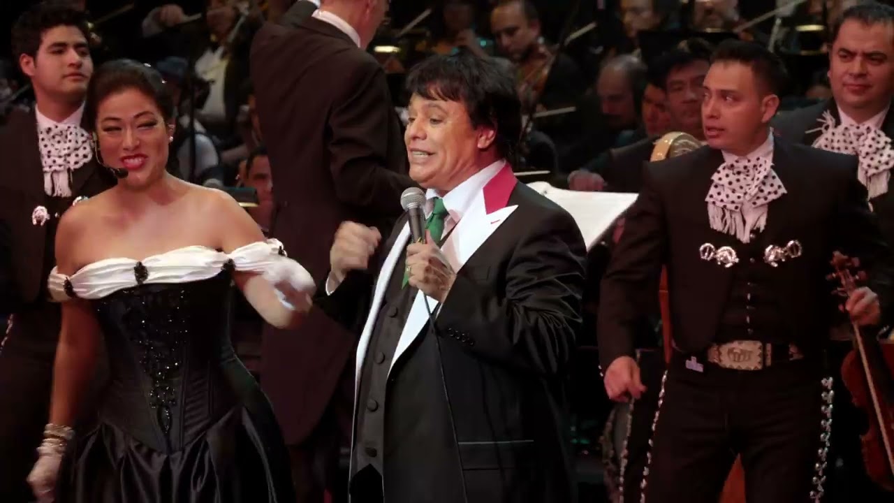 Juan Gabriel vienes o voy en el palacio de bellas artes
