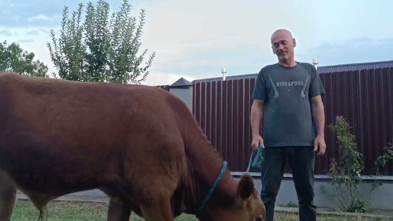 дса(5)