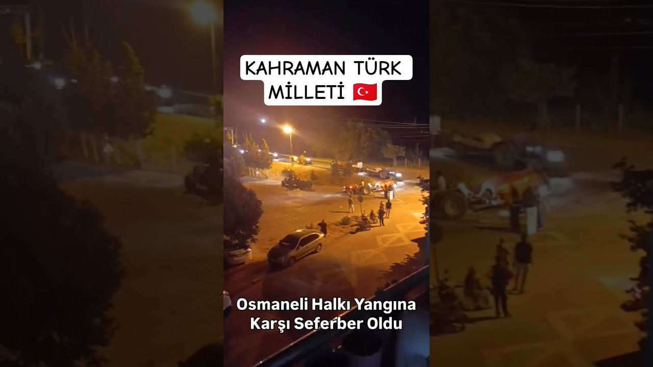 🎯 Bilecik Osmaneli'de &Ccedil;ıkan Orman Yangınına Kahraman T&Uuml;RK MİLLETİ 🇹🇷 Hep Birlikte m&uuml;dahale ediyor