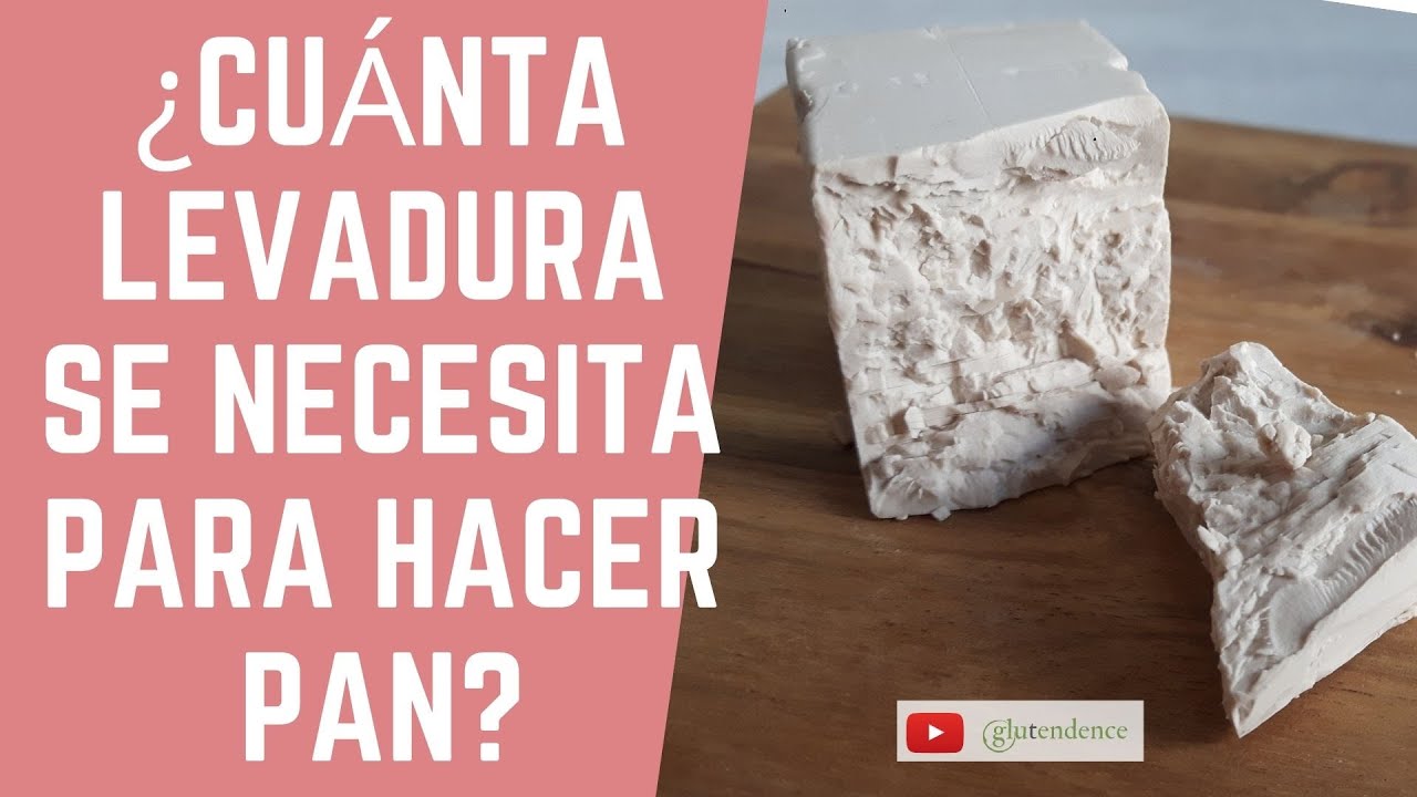 ✅ ¿CUÁNTA LEVADURA SE NECESITA PARA HACER PAN?