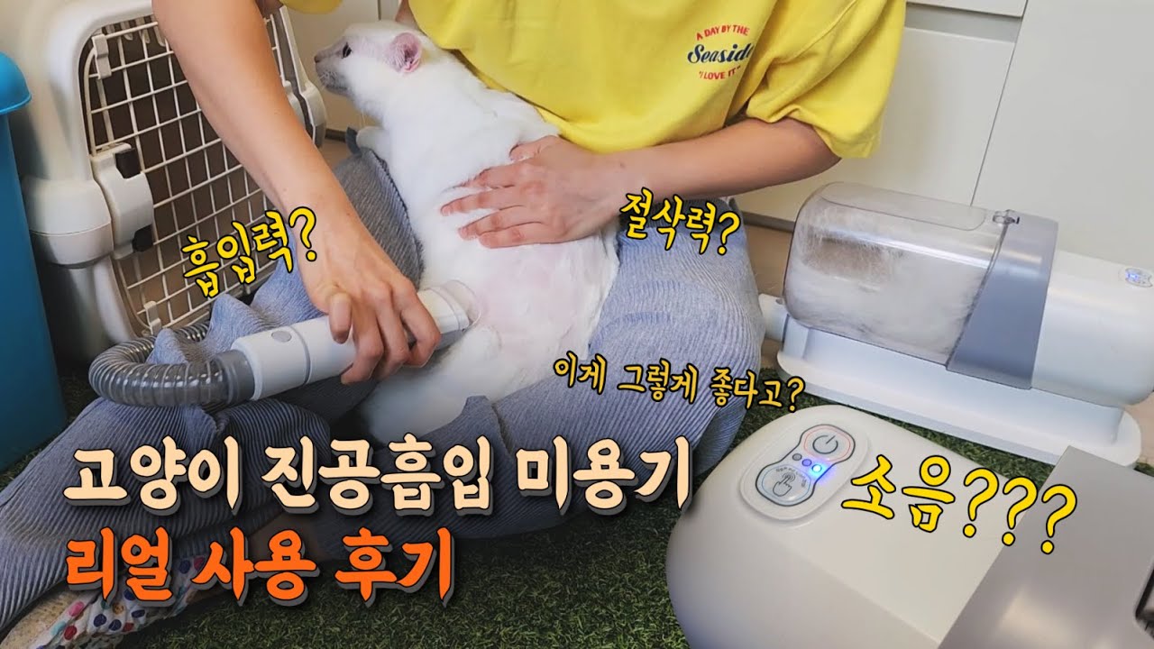 고양이 미용으로 고민이신 분들 지금 바로 이 영상 시청하세요! uoou 5 in 1 고양이 진공흡입미용기 후기