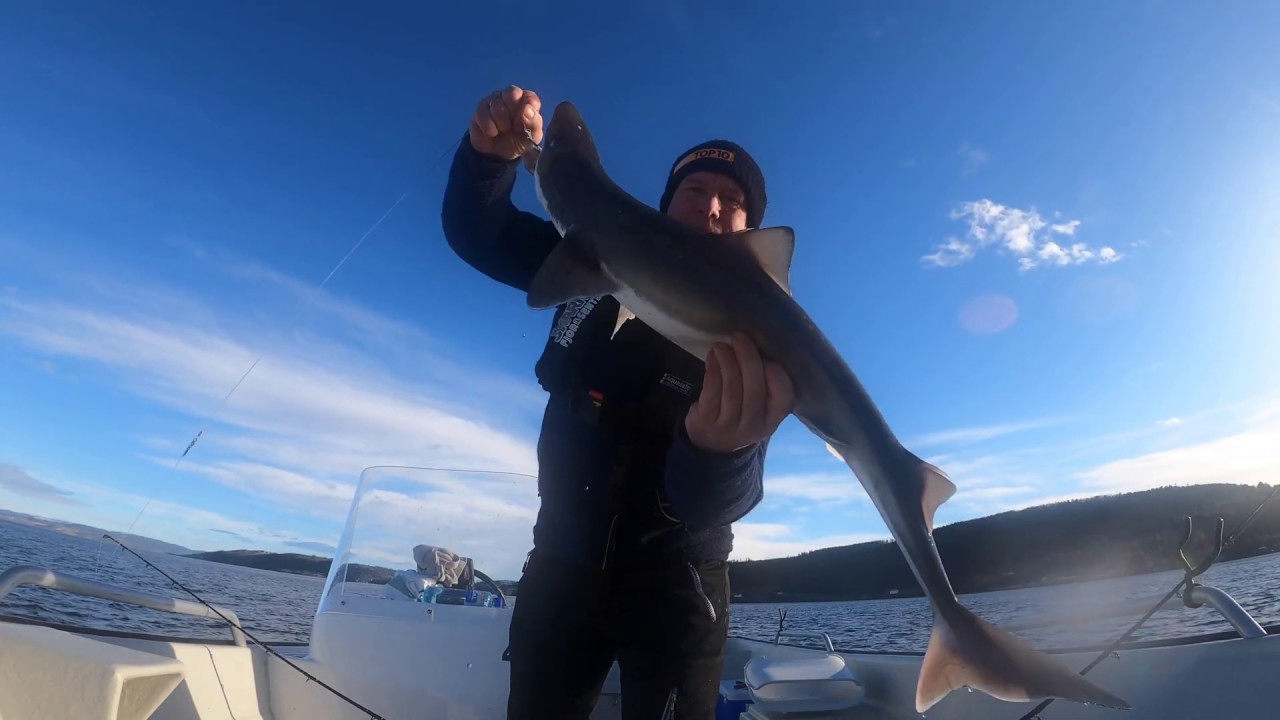 Boat fishing for Halibut