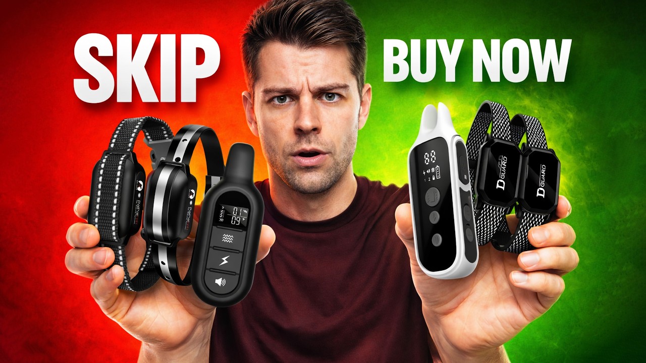 Перед покупкой ошейника для дрессировки собак… Посмотрите это видео! #2026