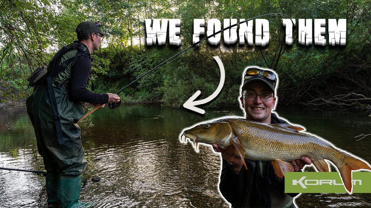 Searching small rivers for big barbel - River Teme