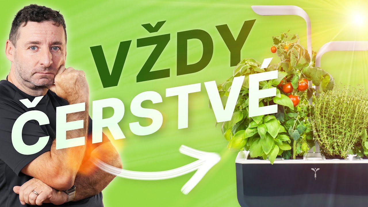 Domácí pěstování s Véritable (Alisczech vol. 1105)