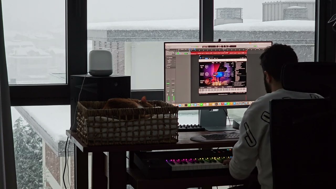 Piano, snow, cat... 🤍
