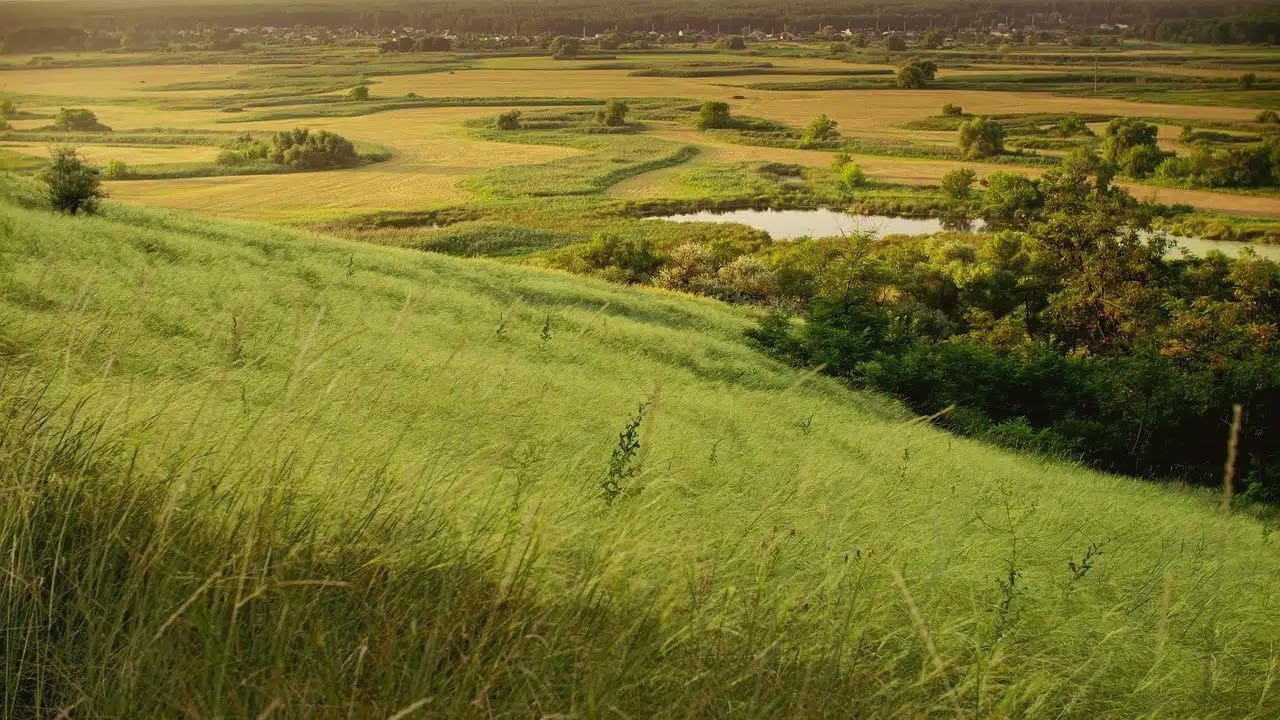 Ambiente en una estepa al mediodía a finales de primavera ⛰️​ // Natura Efecto de sonido