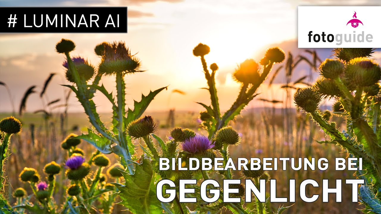 Luminar AI # : Bildbearbeitung bei GEGENLICHT