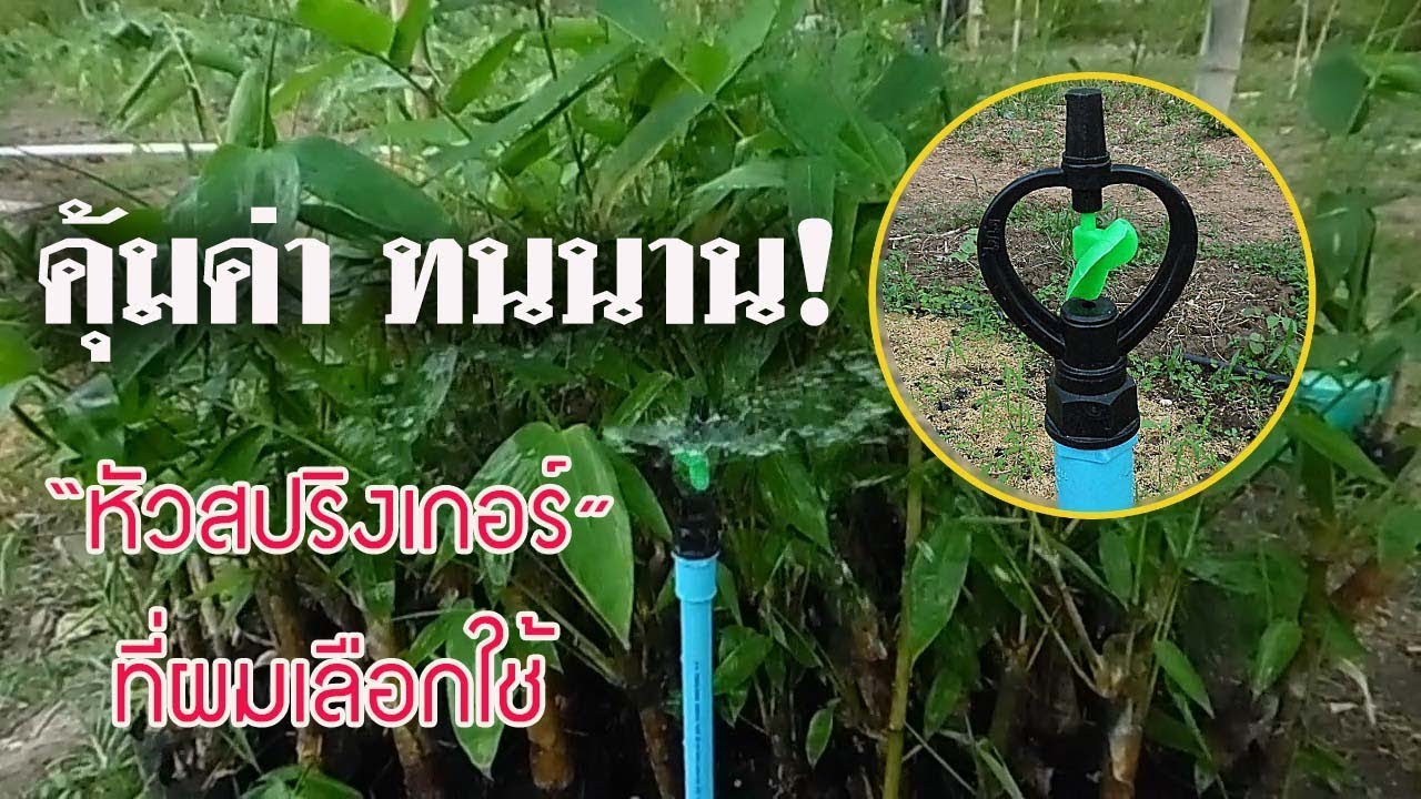 หัวสปริงเกอร์ที่ผมเลือกใช้ คุ้มค่า ทนทาน นานปี