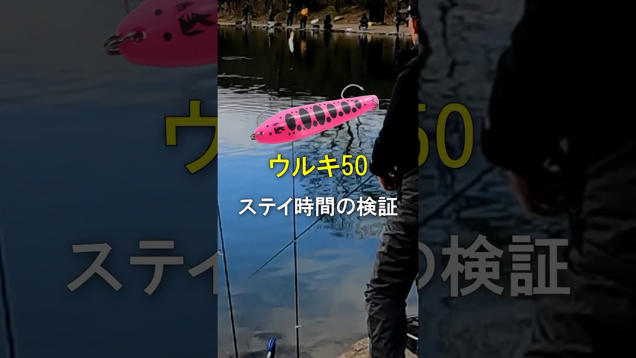 【ウルキの使い方】ウルキのステイ時間を検証 #ウルキ #ウルキの使い方 #ウルキのステイの時間 #カルテラス #五頭フィッシングパーク #Shorts
