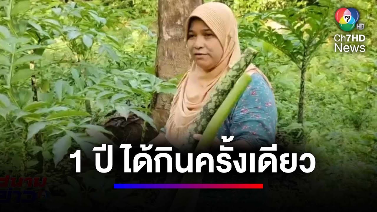 ลุยป่าหา 