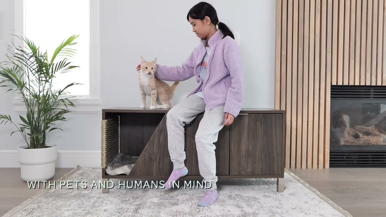 Pet & human functional furniture