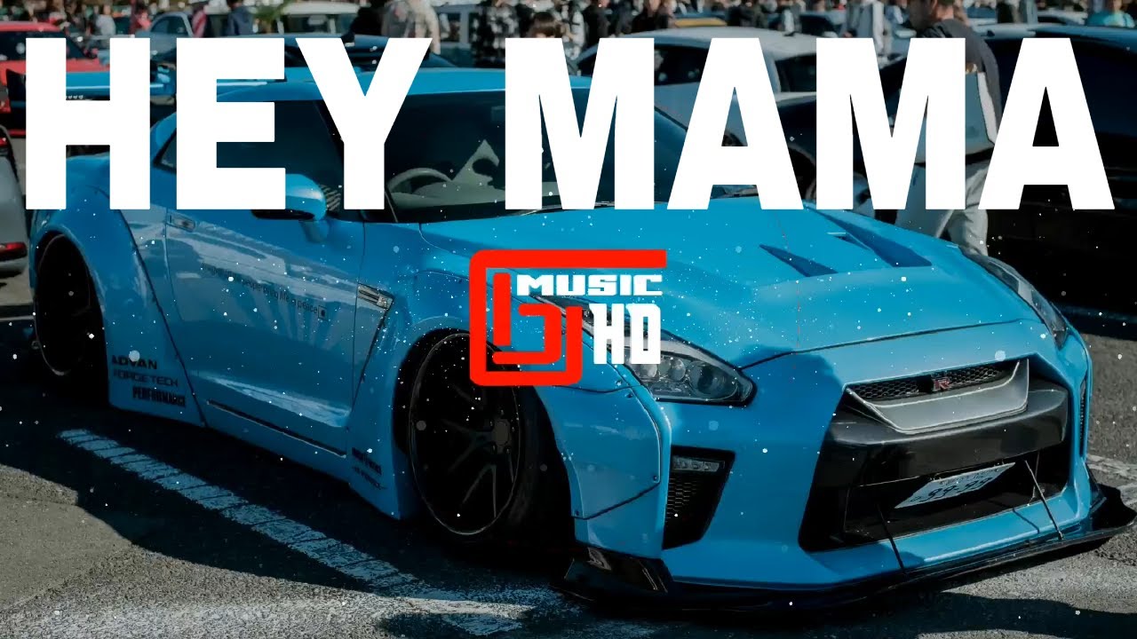 David Guetta - Hey Mama [ERS REMIX]