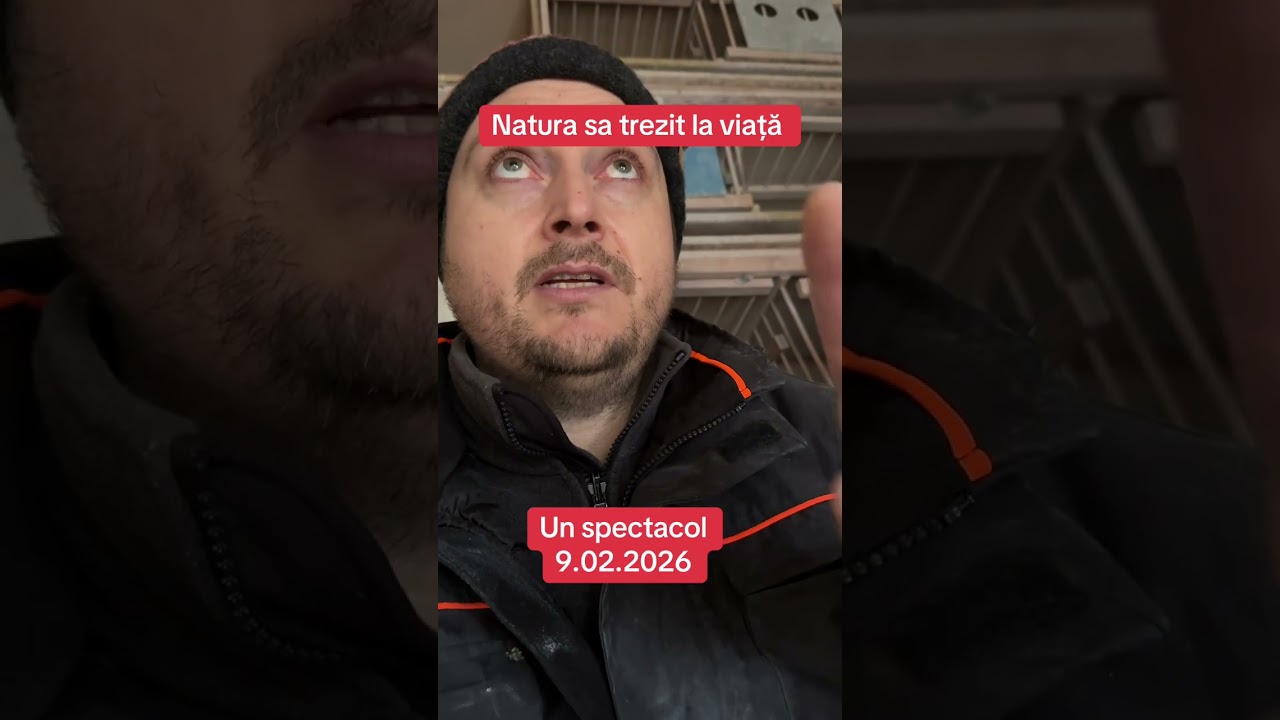 Masculii țin post natural si sunt dornici de împerechere. Ciclul natural îți urmează cursul 