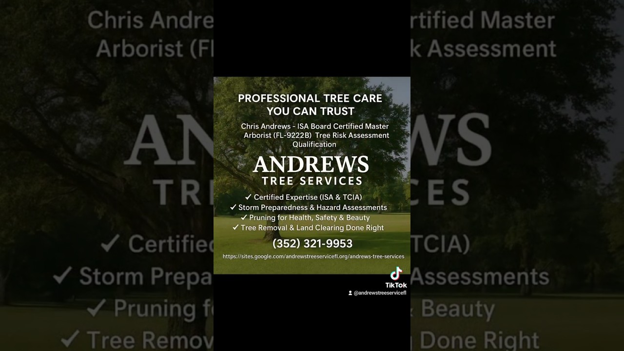 Don't risk it! Why you need a Certified Master Arborist!! #andrewstreeservices #treearborist