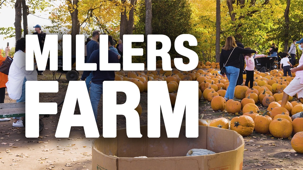Millers Farm, Market & Garden Centre