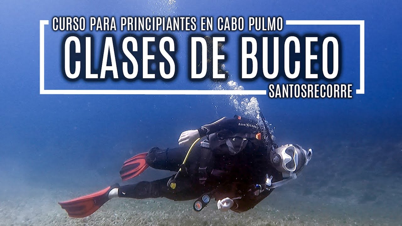 🔵 BUCEO EN CABO PULMO. Así es CERTIFICARSE como buzo en Baja California Sur. Principiantes