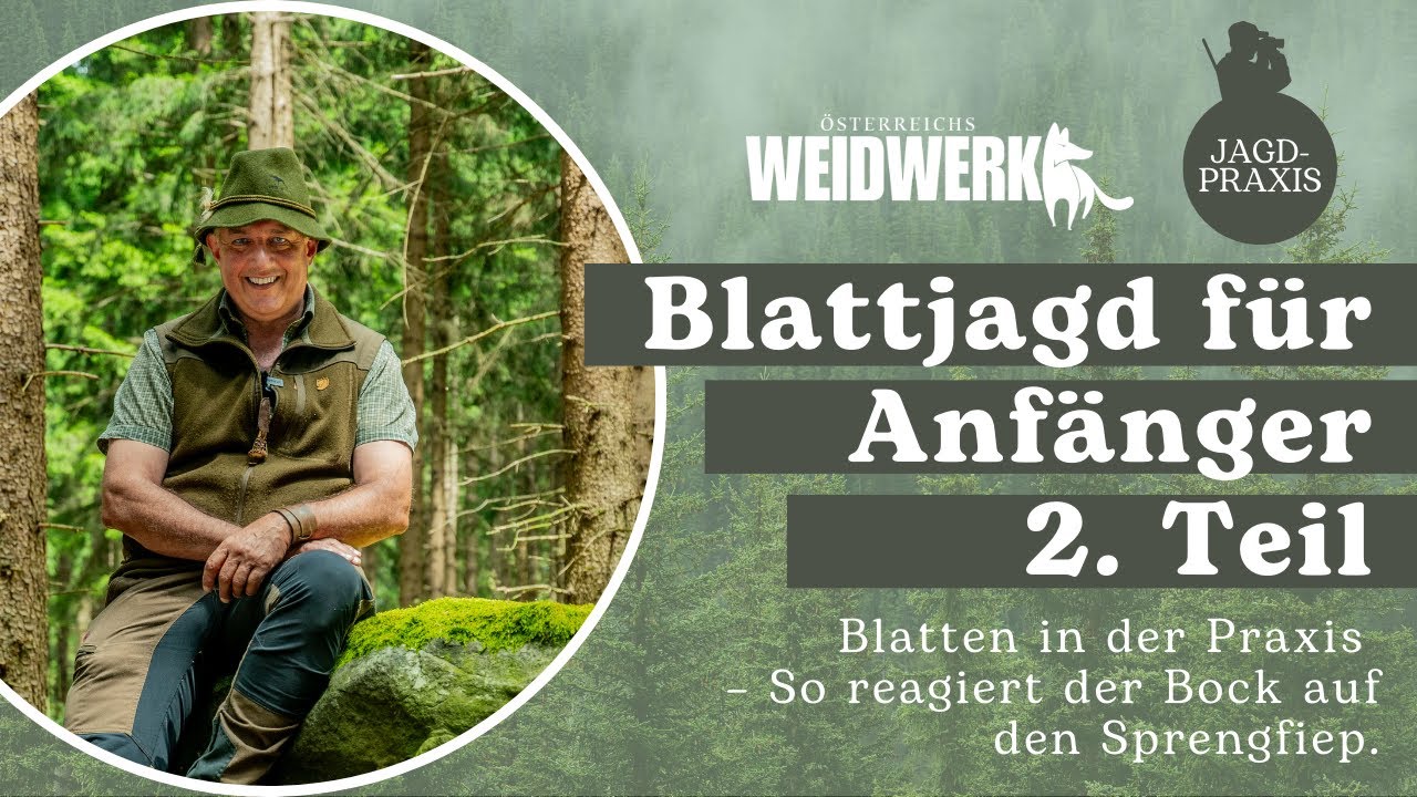 Blattjagd mit F&ouml;rster Fritz Wolf &ndash; Teil 2