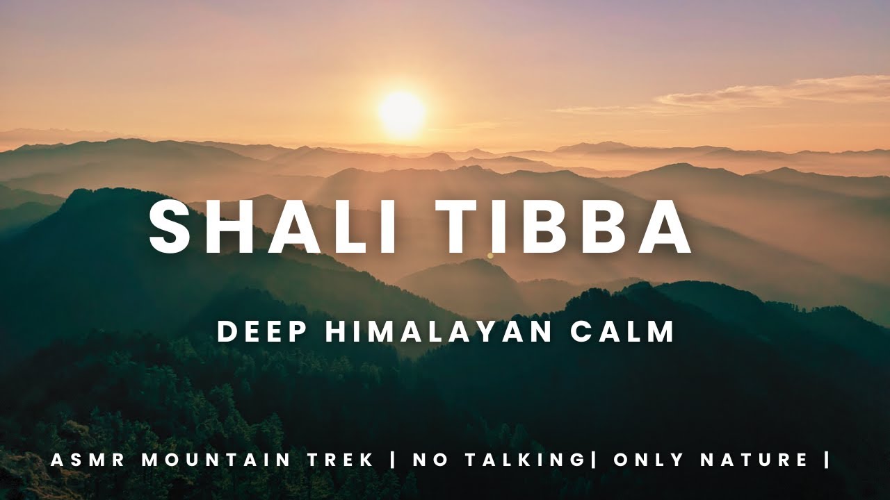 Trekking through Culture and Nature in the Himalayas | ASMR Trek to Shali Tibba