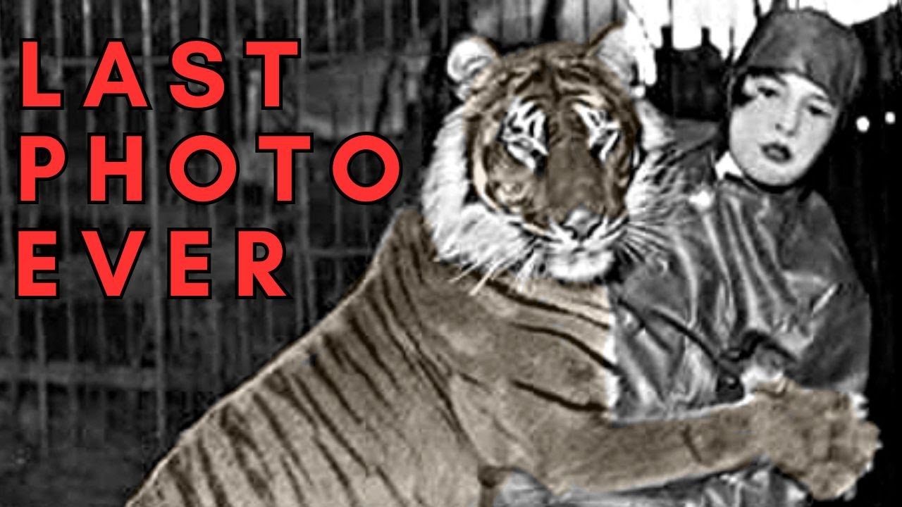 Last Photos of Extinct Species - Part 2