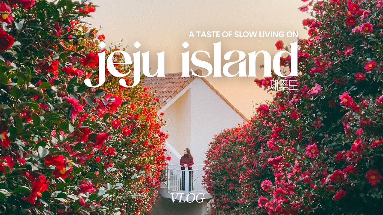a slow life in jeju vlog🍊| seaside neighborhood, recommended k-bbq, cute shops,camelia flower garden