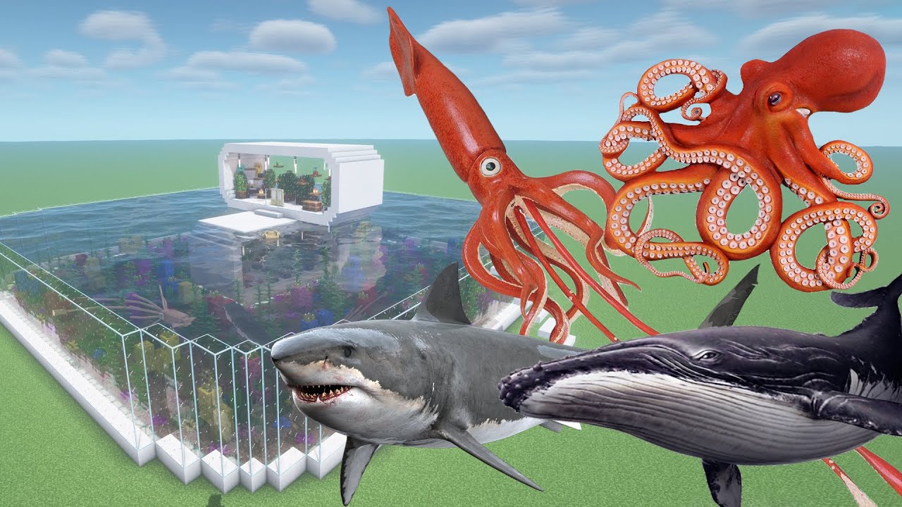 How To Make a Kraken, Whale, Shark, and Octopus Farm in Minecraft PE