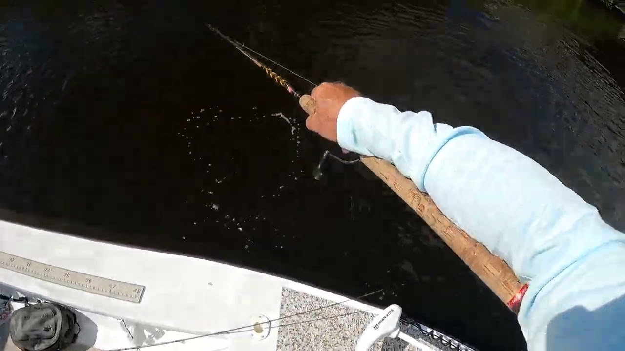 Port St  Lucie Snook Fishing| Fishyourassoff.com