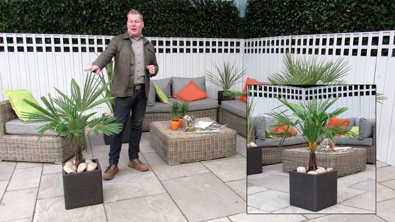 Instant Garden (Tropicana Review)