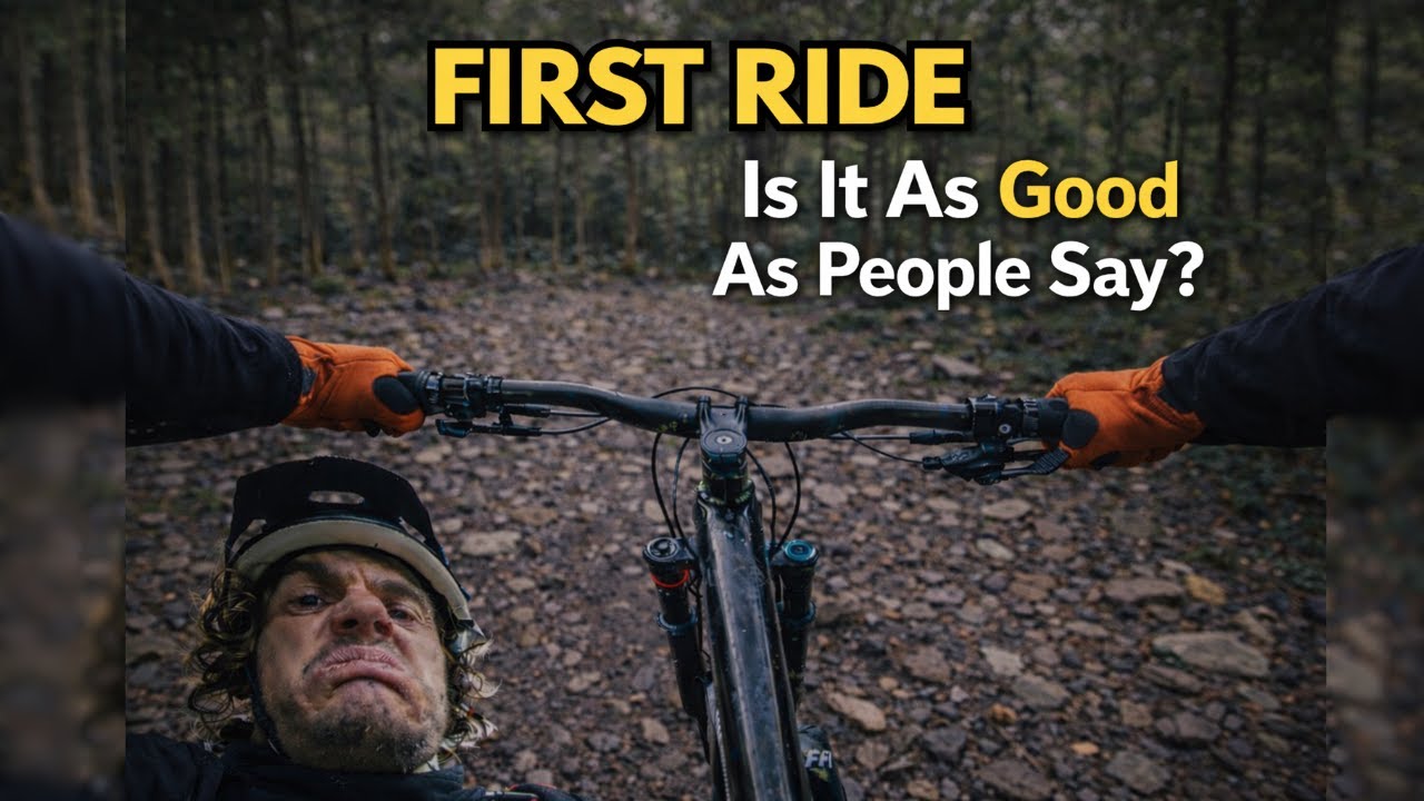 My First Time Riding the Forest of Dean — What I Found