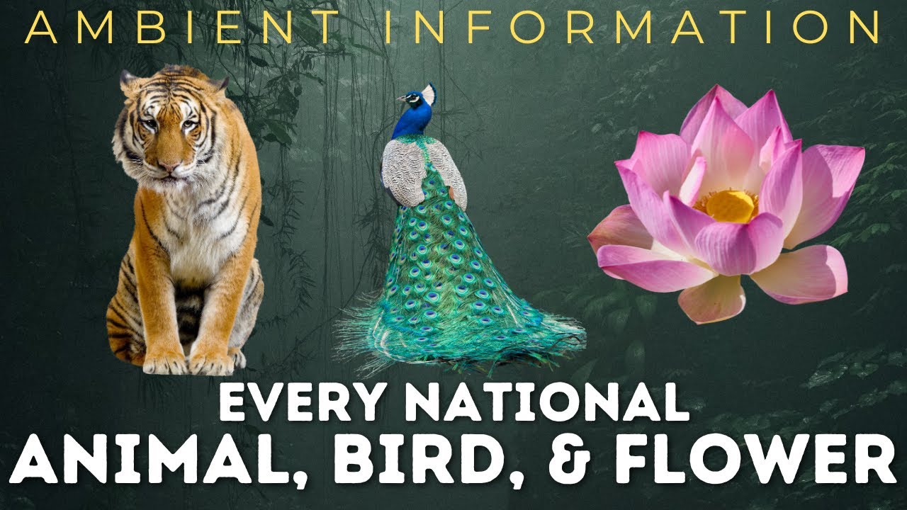 Official (and Unofficial) National Animals, Birds, and Flowers for Every Country