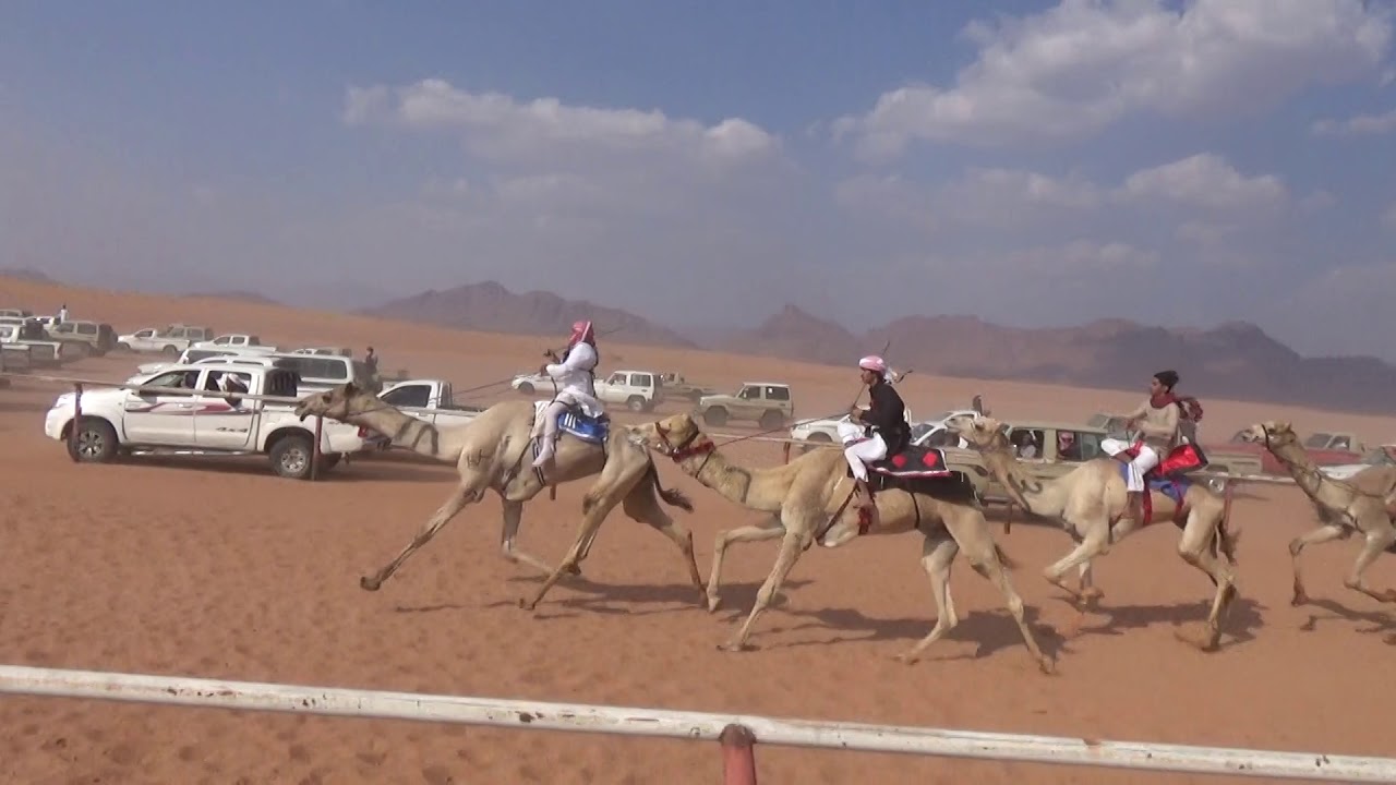شــــــوط المـــراثــــــــون (الشداد) 6كم (شعيلان)لـ عمر علي العمراني 1442/5/24