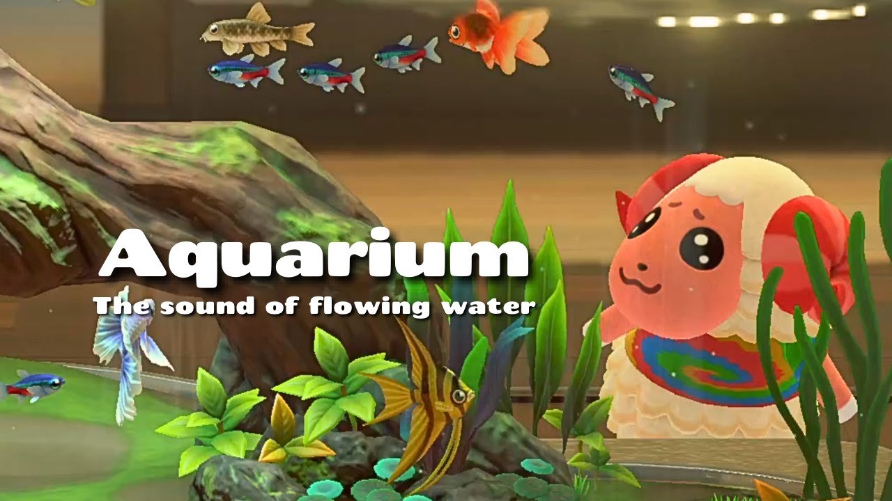 【作業用】優しい水の音とかわいい住民たちに癒される🐠🫧／水族館／あつ森BGM／環境音